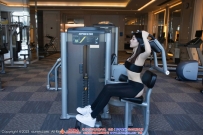 【XiuRen-秀人网】2023.12.15 No.7819 模特合集 [71P-386MB]